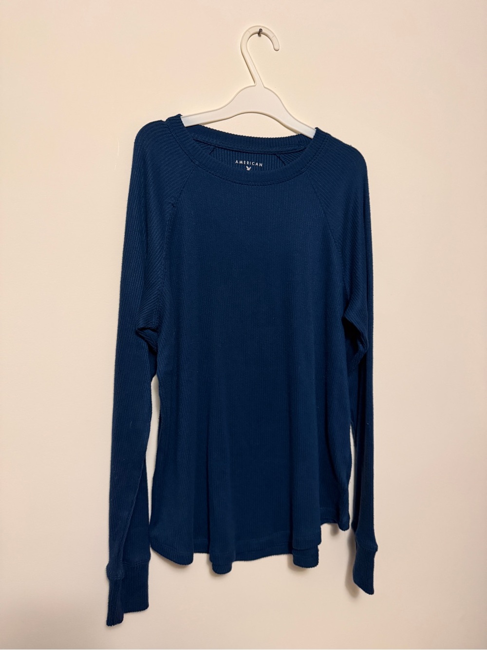 AE Plush Long-Sleeve Crew Neck T-shirt